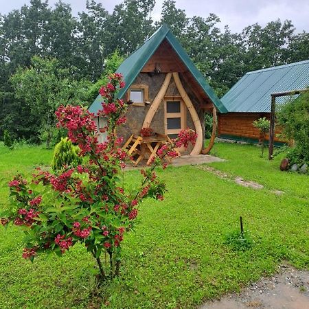 Gazela Bungalov 1 Mojkovac Exteriör bild