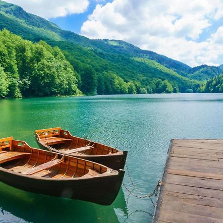 Gazela Bungalov 1 Mojkovac Exteriör bild