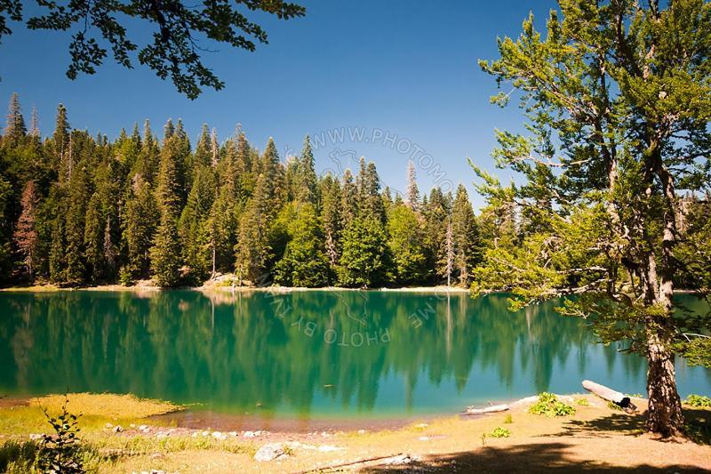Gazela Bungalov 1 Mojkovac Exteriör bild