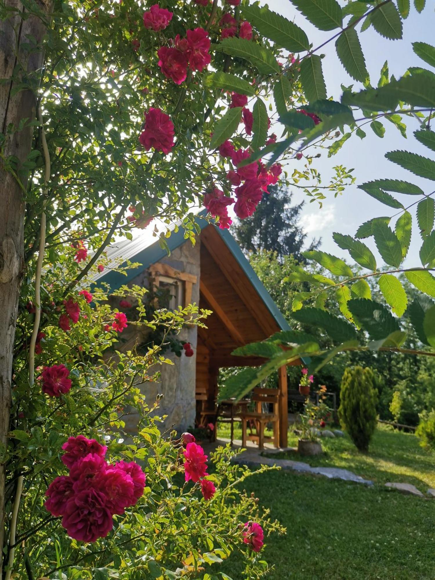 Gazela Bungalov 1 Mojkovac Exteriör bild